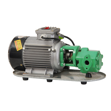 CDI-P21 220V WCB Fuel Transfer Gear Pump