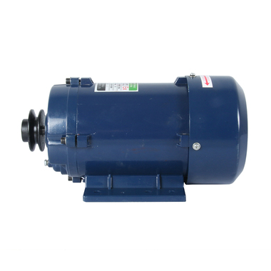 CDI-DA02 220V ATEX Fuel Dispenser Pump Motor